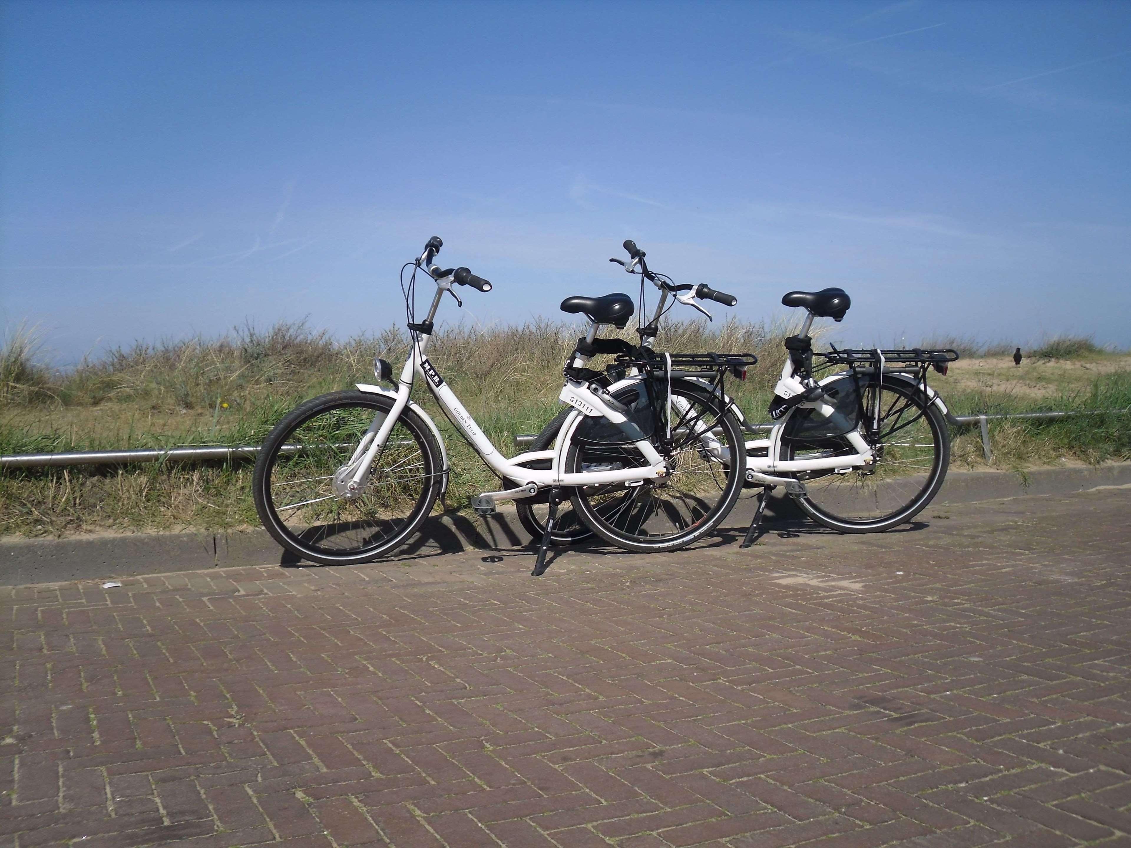 Two Brothers Noordwijk Beach المظهر الخارجي الصورة